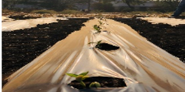 by Gaurav Gupta ,Delhi