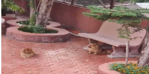 by Leena Vayapully ,Mumbai (Palladium)