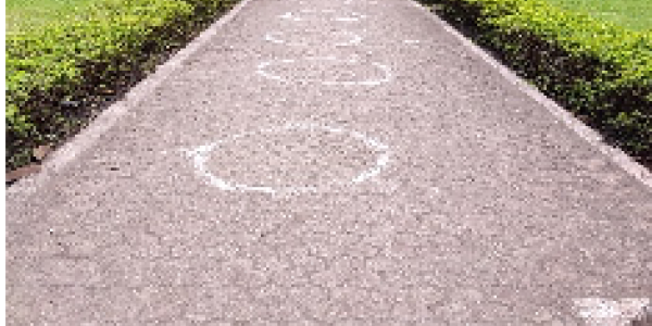 by Ashok Bhute ,Raigarh