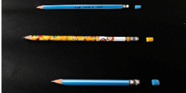 by Nisha Govekar ,Mumbai (BKC)