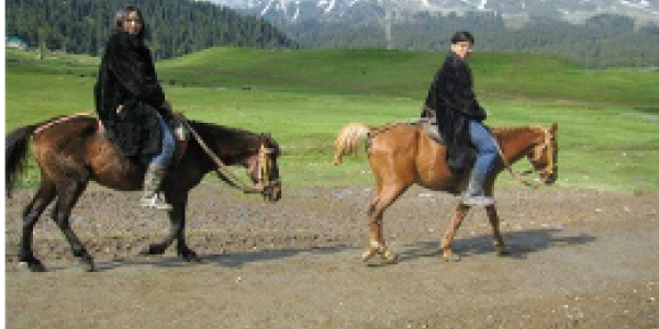 by Jitendra Kumar Chaurasia