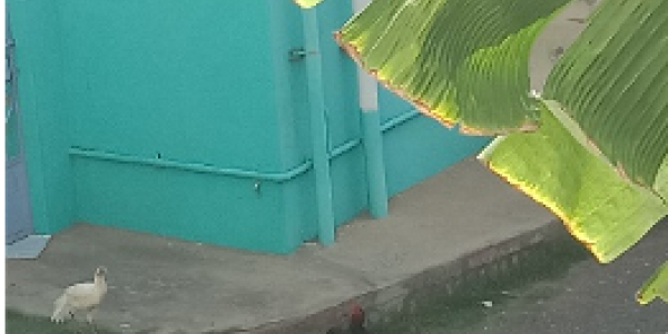 by Vetrivelmurugan R ,Salem