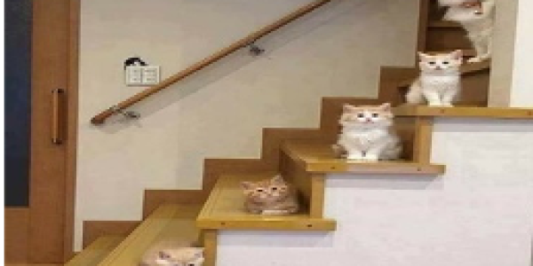 by Leena N Gharat ,GBS Belapur