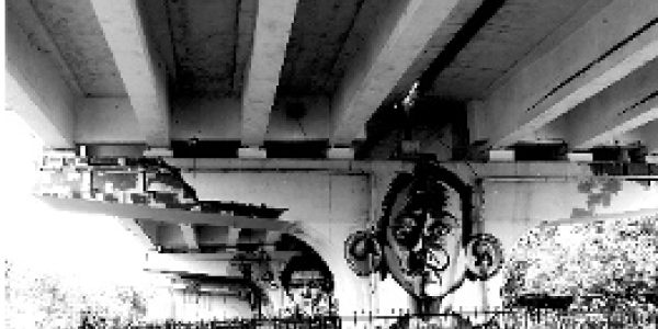 by Dhruba Kishore Chutia ,Salboni